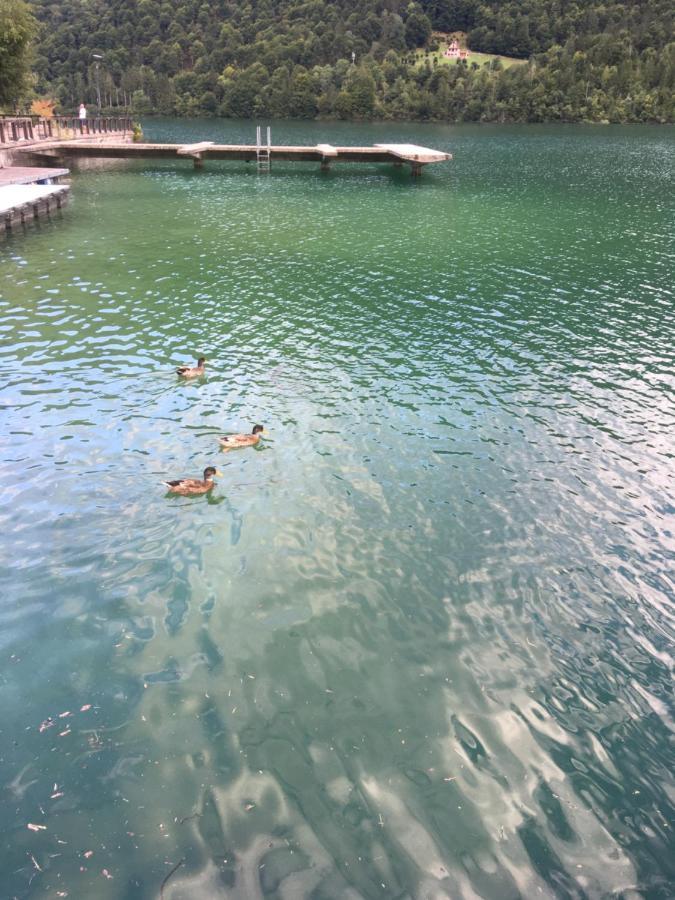 Casa A Schiera Fronte Lago Con Giardino Barcis Extérieur photo